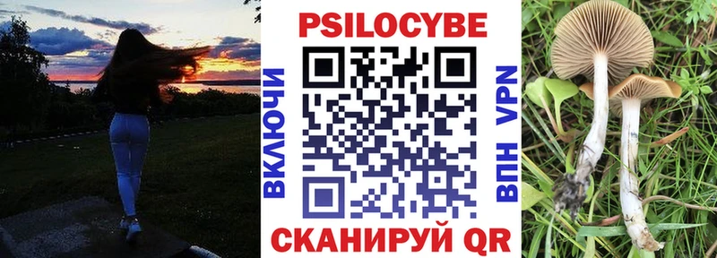 наркошоп  Урень  Псилоцибиновые грибы Psilocybine cubensis 